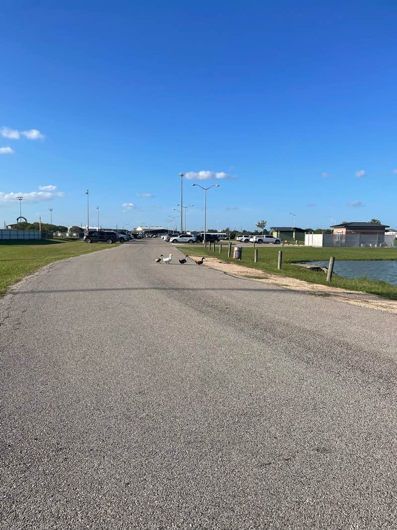 walking near me in Legacy Park in autumn