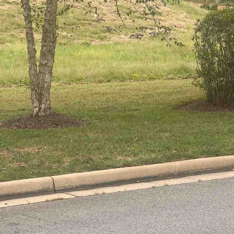 Kenny Ken Ken post 1