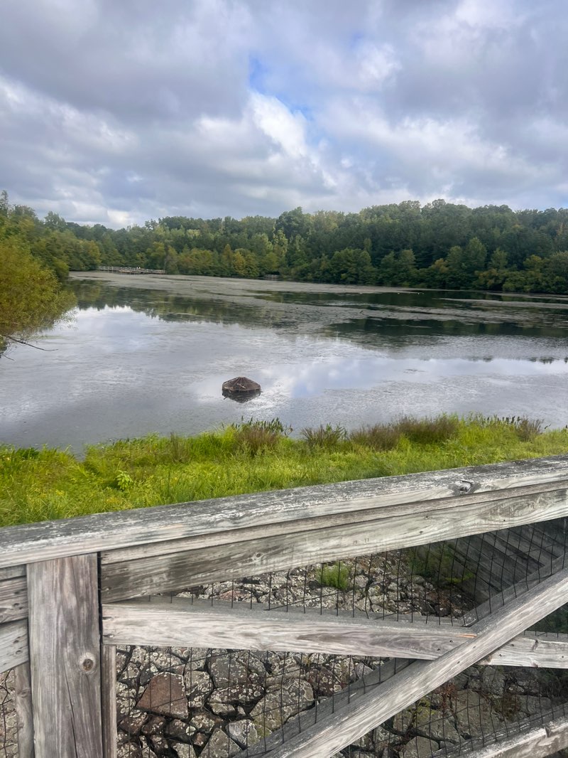 walking near me in Mid-lothian Mines Park in autumn