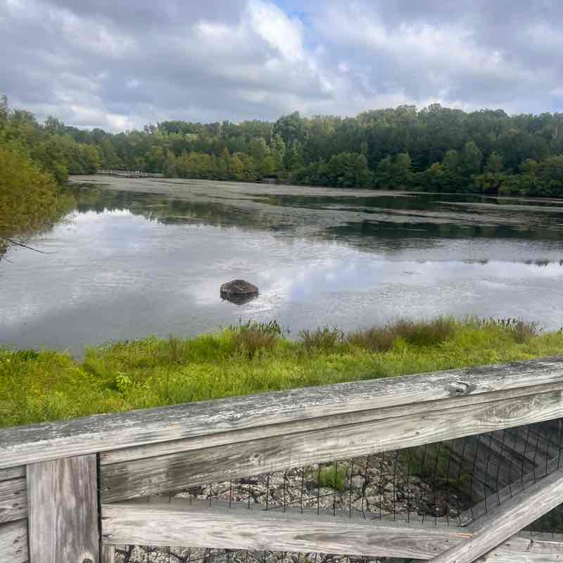 Kenny Ken Ken post 2