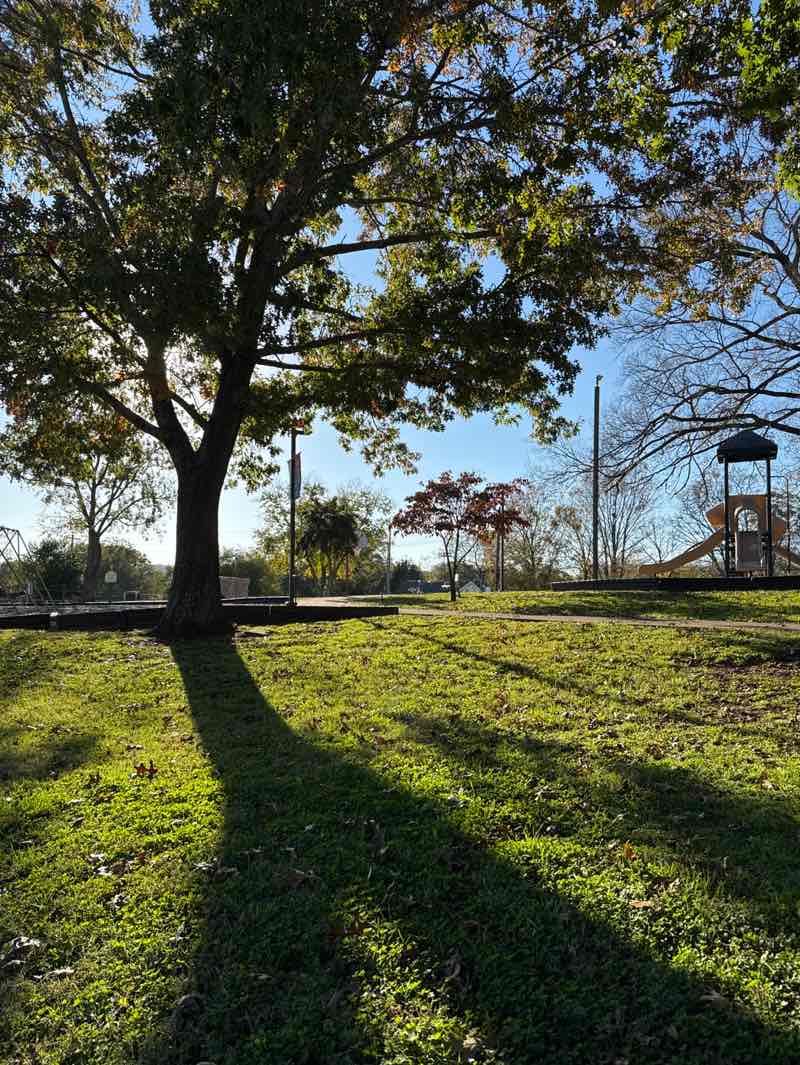 walking near me in Sharewood Park in autumn