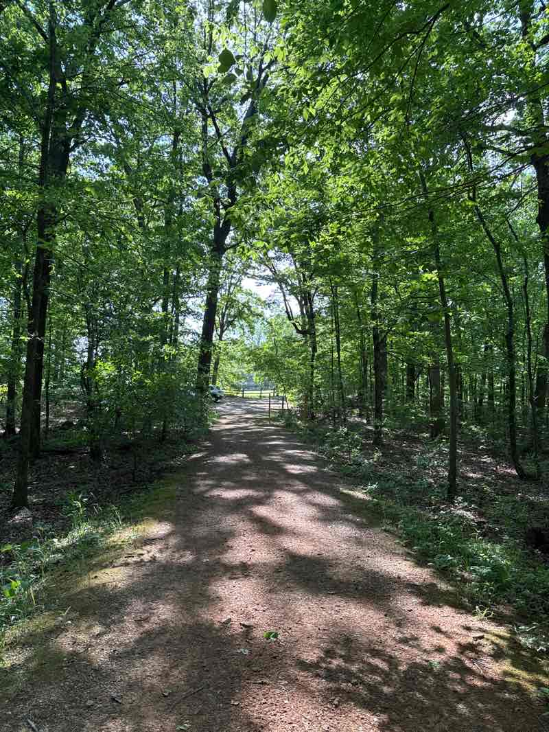 walking near me in David Crockett State Park in spring