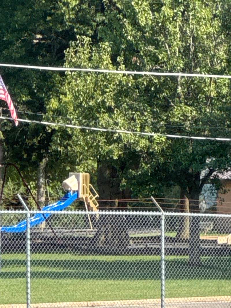 walking near me in W.D. Savage Park in autumn
