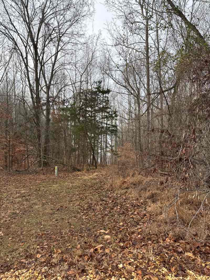 walking near me in Tims Ford State Park in winter