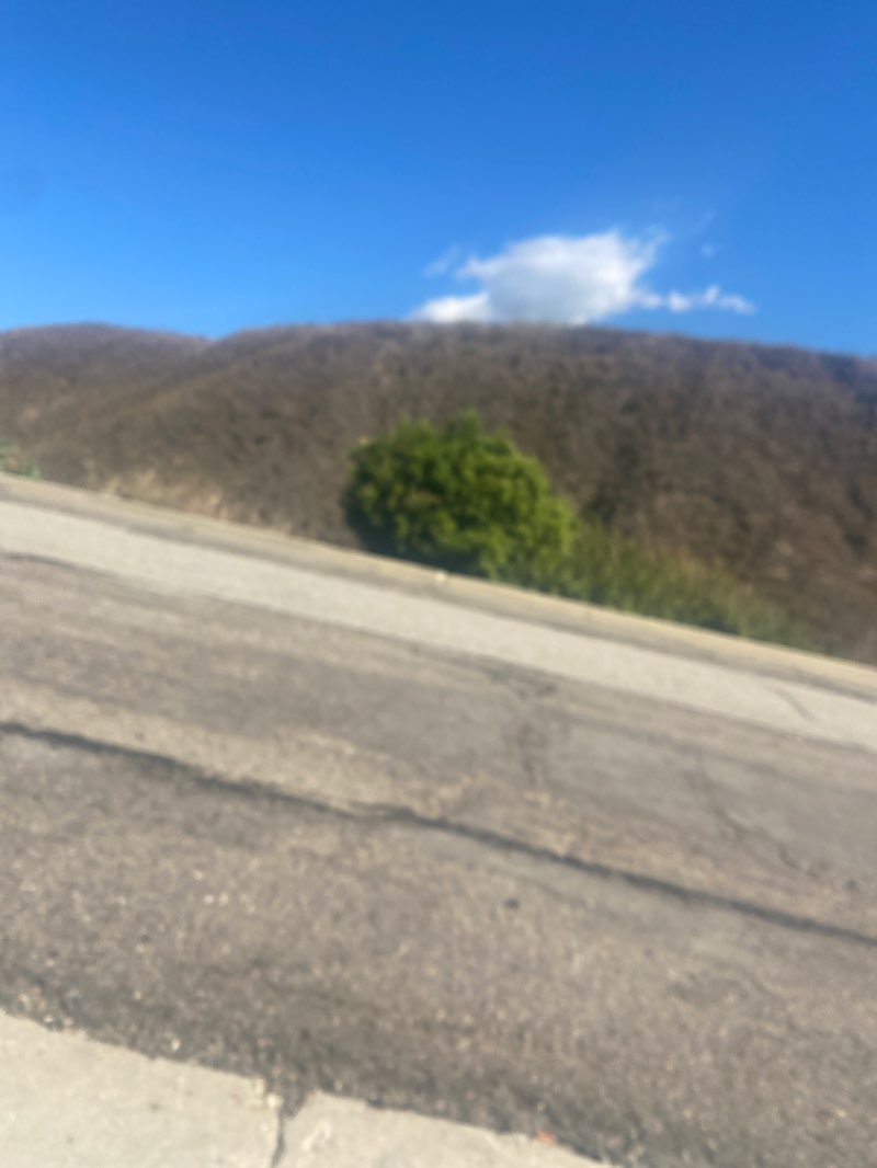 walking near me in Grant Park in winter