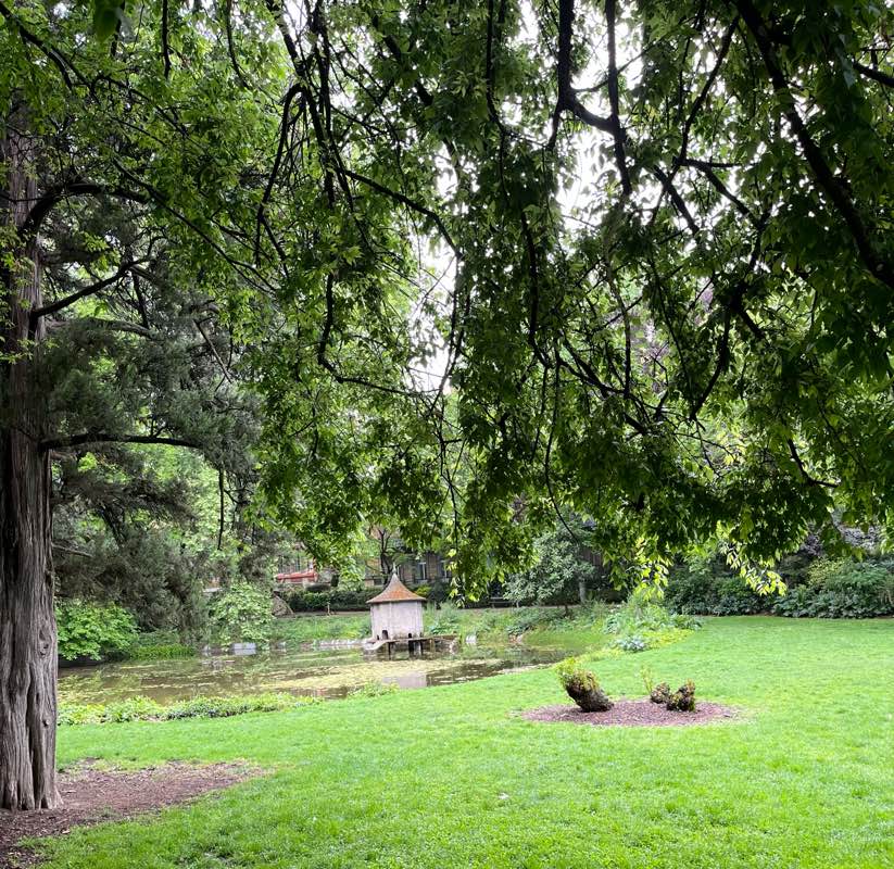 walking near me in Square Boulingrin (Jardin du Grand Rond) in spring