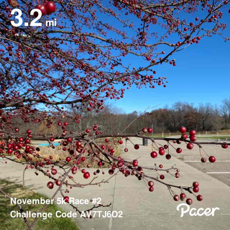 Maryellen Reagan Ackroyd post 1