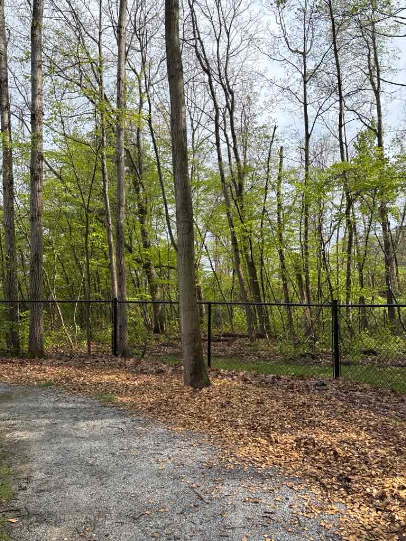walking near me in Village School Playground in spring