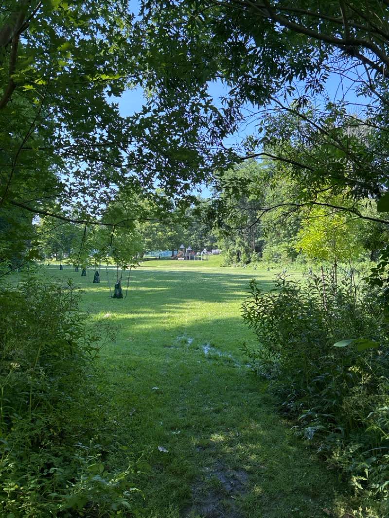 walking near me in Bidwell Park in summer