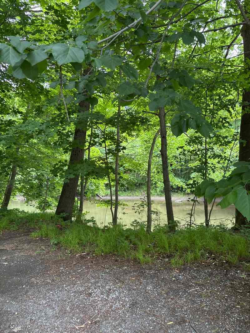 walking near me in Bidwell Park in summer