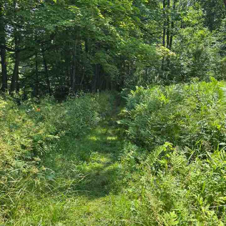 Berkshire County Massachusetts mother dearest post image