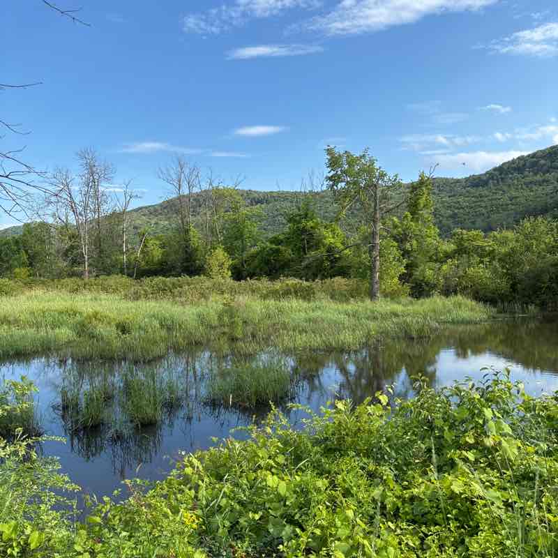 Berkshire County Massachusetts mother dearest post image