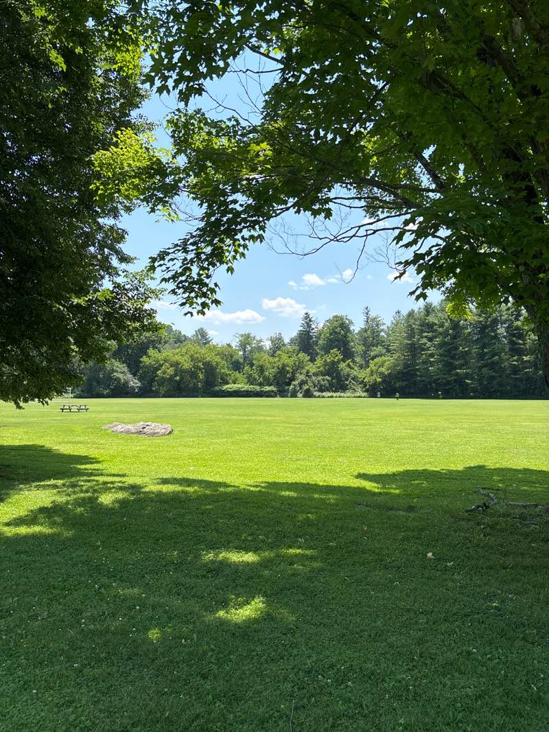 walking near me in Recreation Park in summer