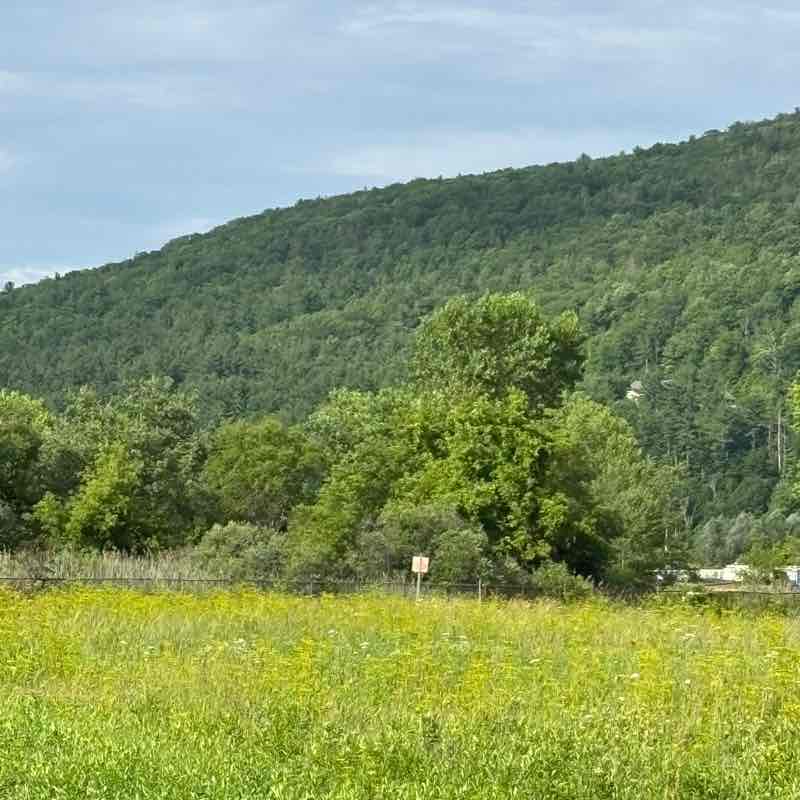 Berkshire County Massachusetts mother dearest post image