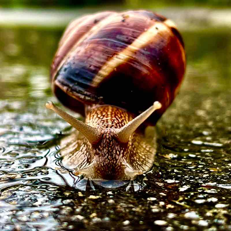 Д͜͡м͜͡и͜͡т͜͡р͜͡и͜͡й͜͡ (☞ ͡° ͜ʖ ͡°)☞ post 2