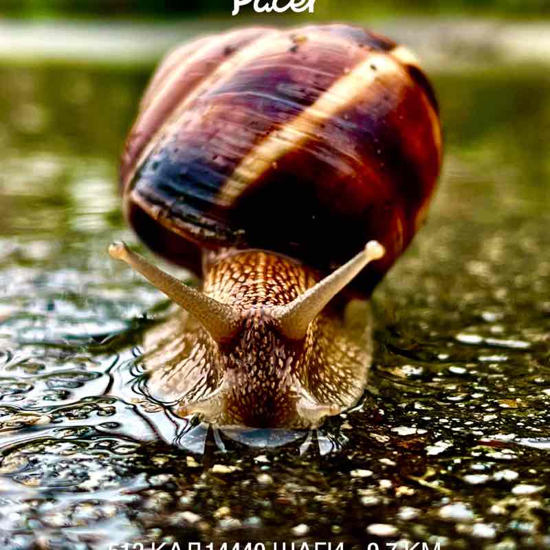 Д͜͡м͜͡и͜͡т͜͡р͜͡и͜͡й͜͡ (☞ ͡° ͜ʖ ͡°)☞ post 1