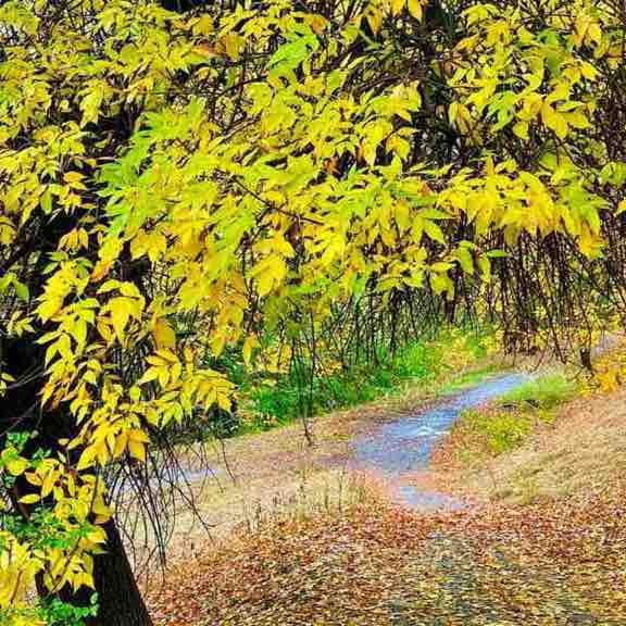 Д͜͡м͜͡и͜͡т͜͡р͜͡и͜͡й͜͡ (☞ ͡° ͜ʖ ͡°)☞ post 3