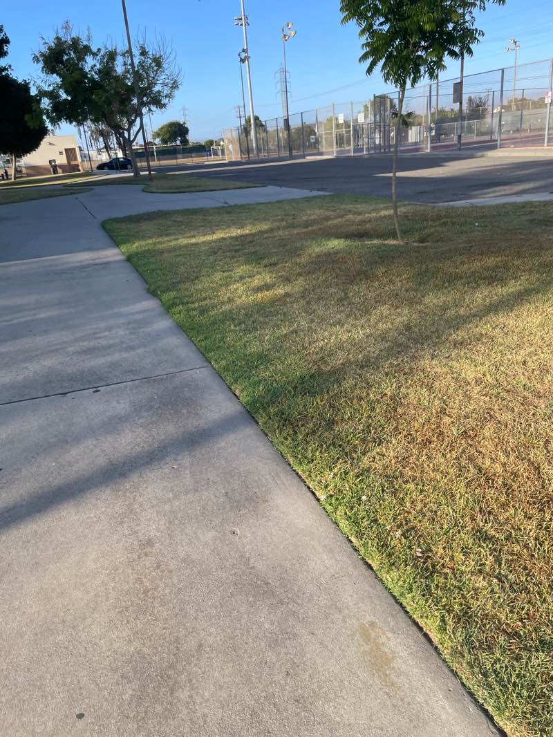 walking near me in Atkinson Park in summer