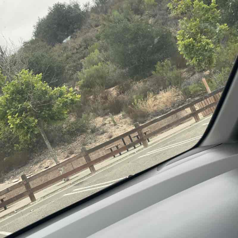 lulu post 1