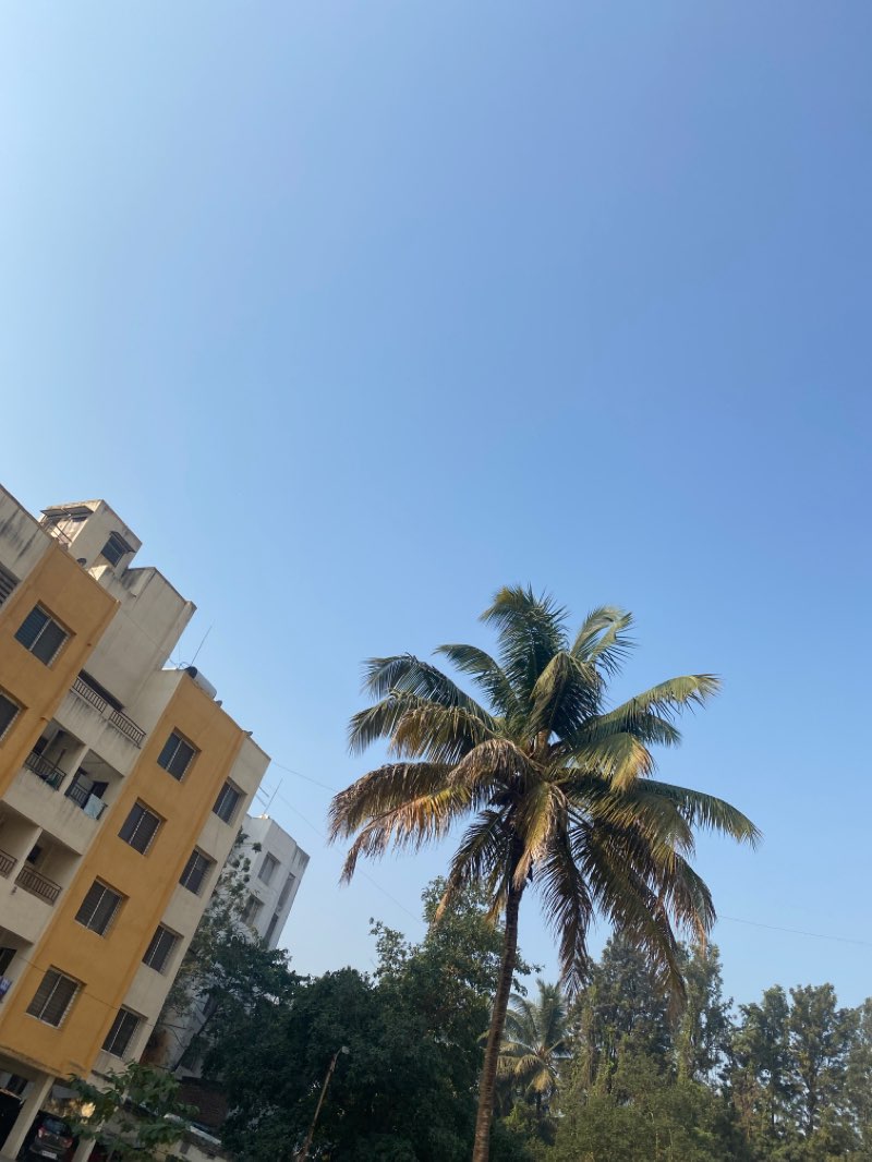 walking near me in Moze College Open park in winter