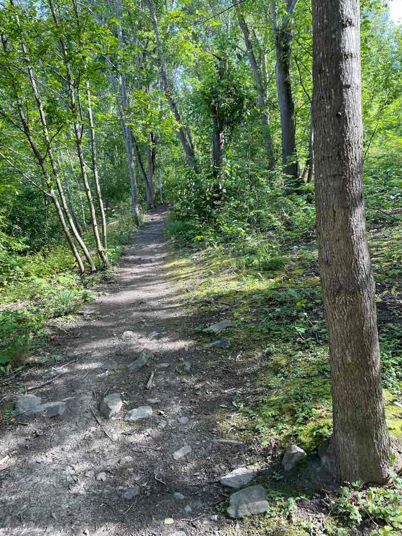 walking near me in Mathilda Wreden puisto in autumn