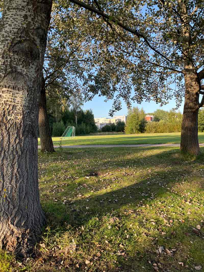 walking near me in Lillhemtinpuisto in autumn