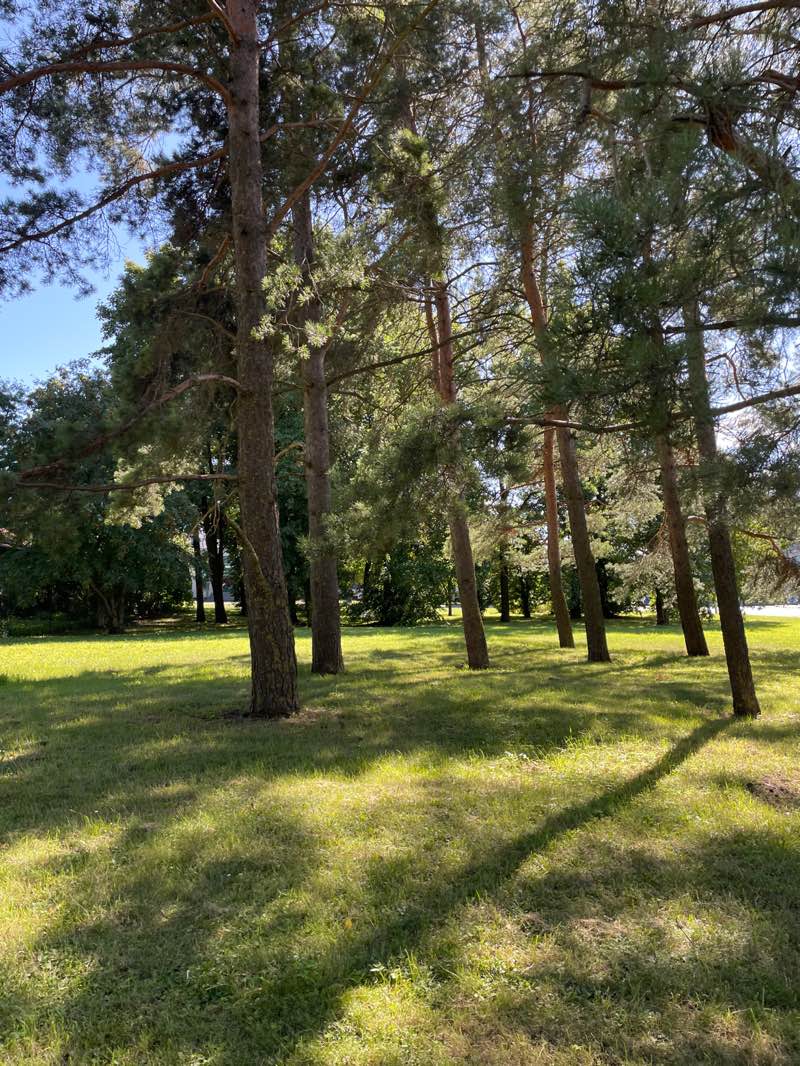 walking near me in Jüriöö park in autumn