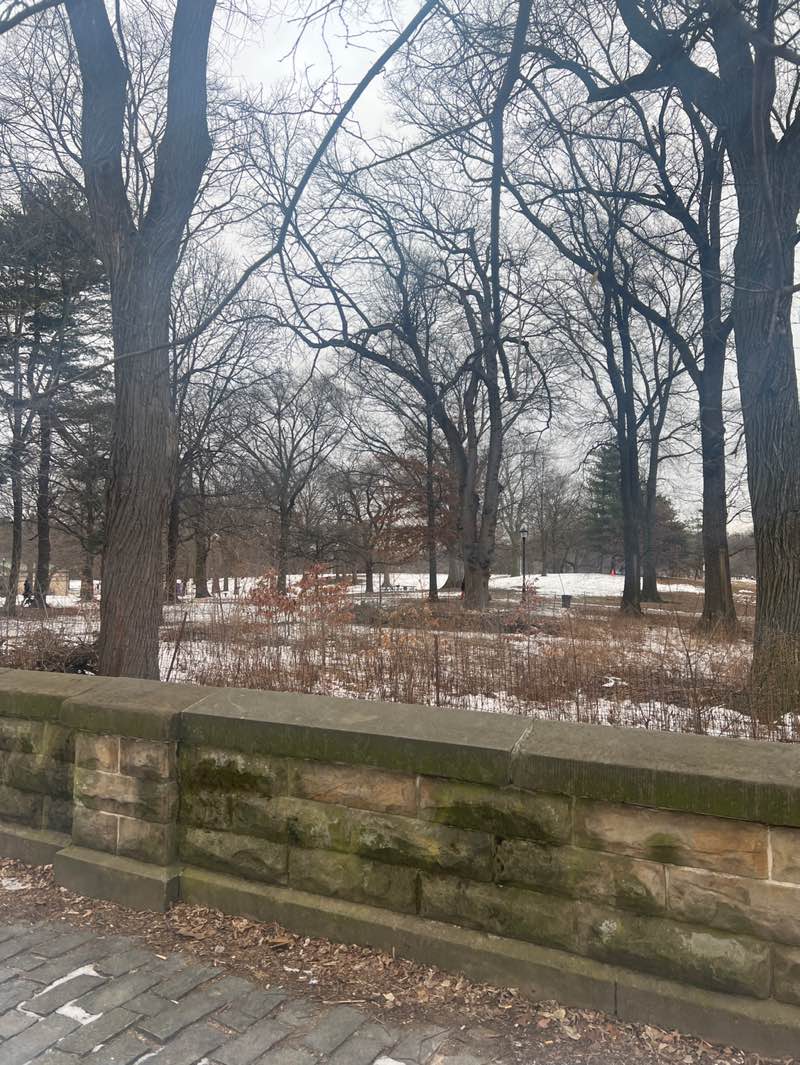 walking near me in Prospect Park in winter