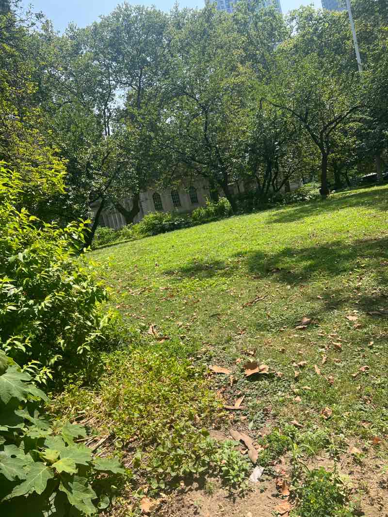 walking near me in City Hall Park in autumn