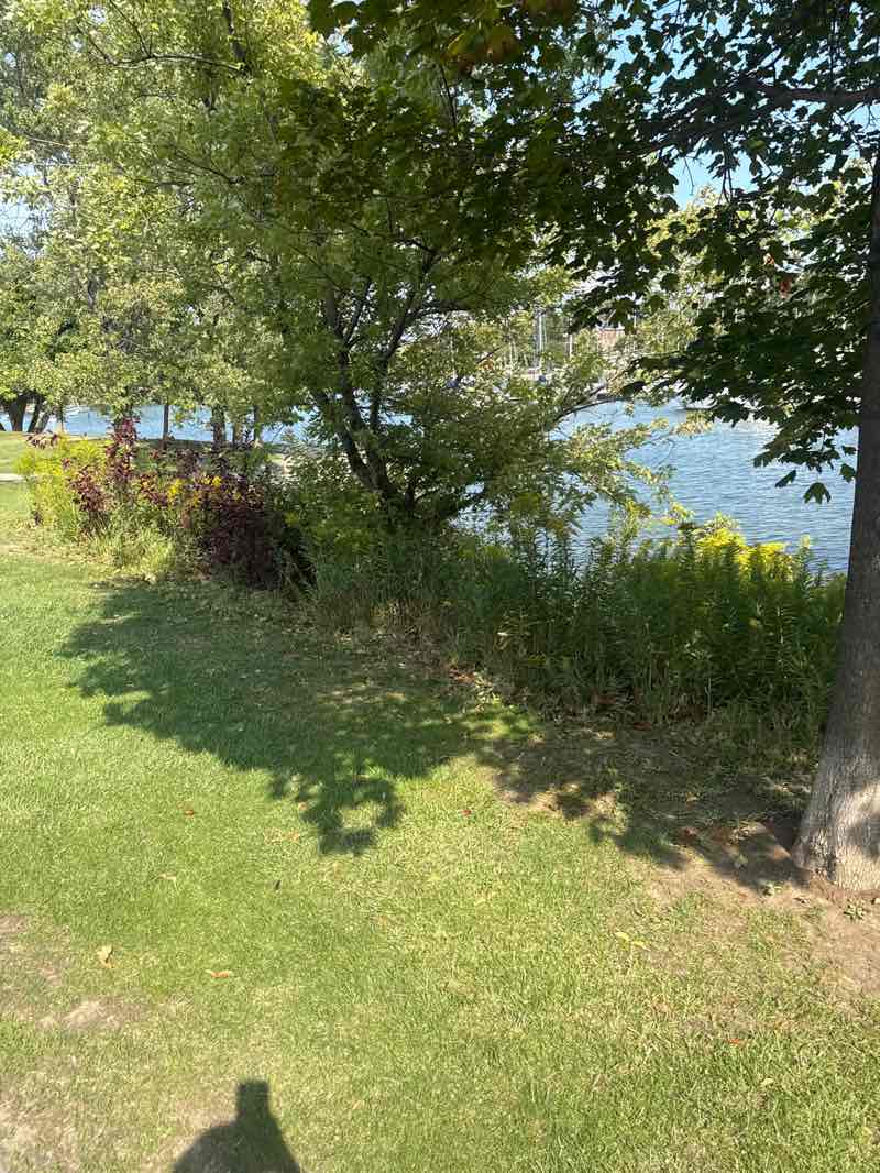 walking near me in Bayfront Park in autumn