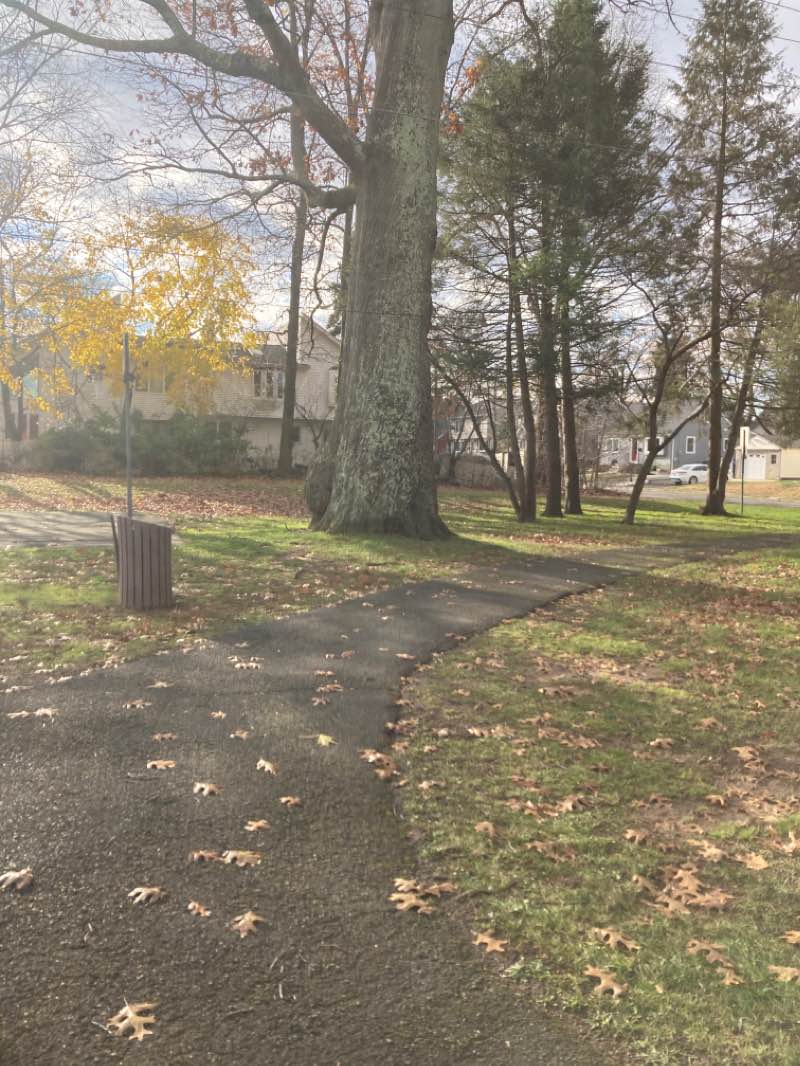 walking near me in Berdan Grove in winter