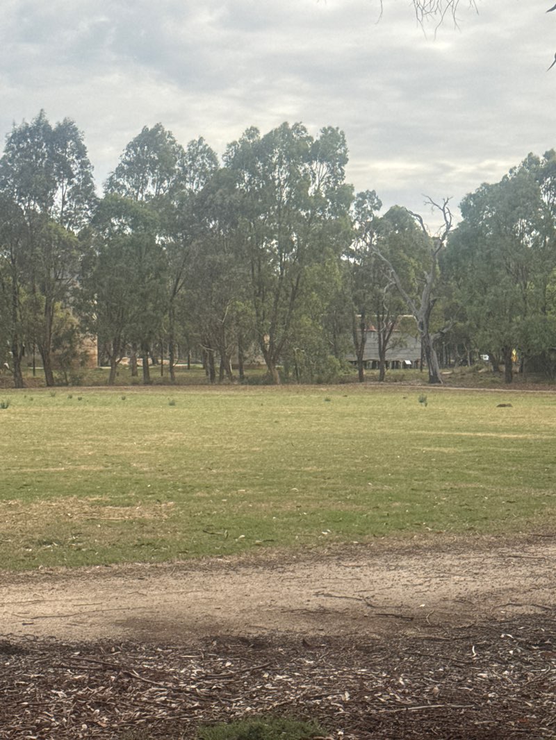 walking near me in Eynesbury Village Green in summer