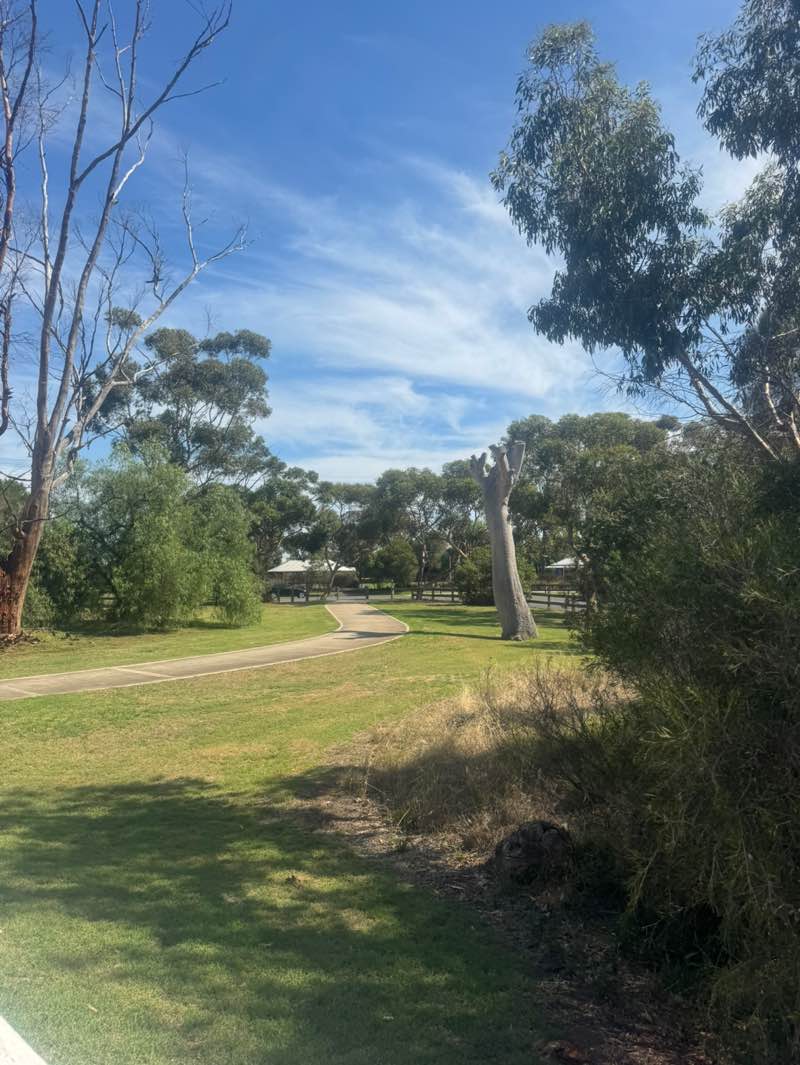 walking near me in The Willows Historic Park in summer
