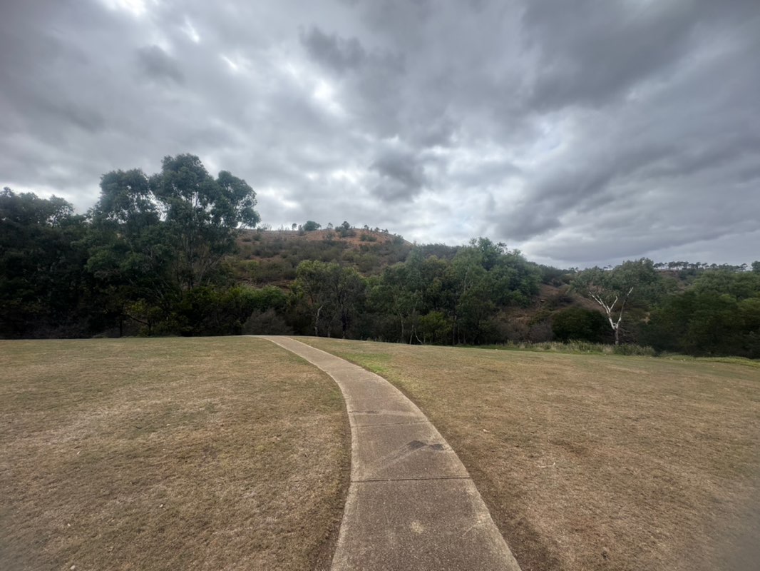 walking near me in Lozzbert Reserve in summer