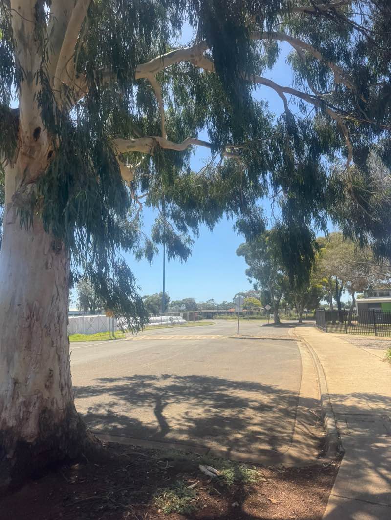 walking near me in Kuranjang Recreation Reserve in summer