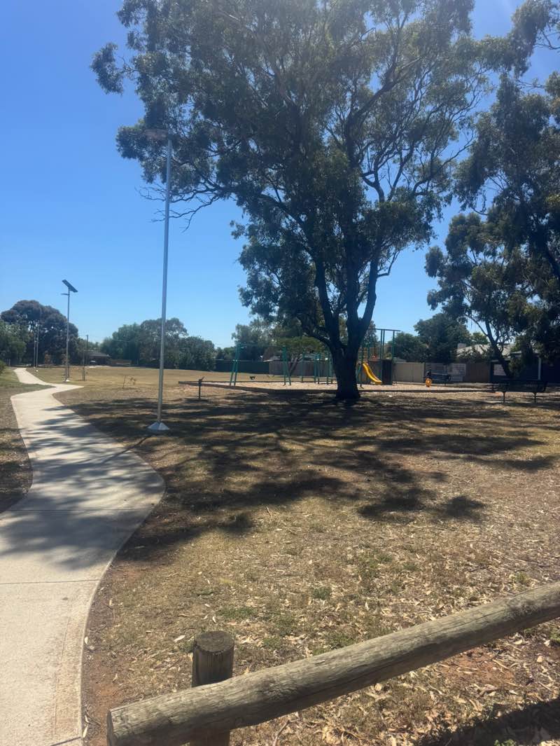 walking near me in Kurrajong Reserve in summer