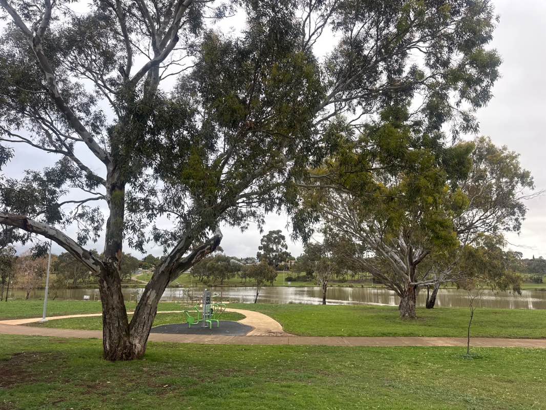walking near me in Navan Park in spring