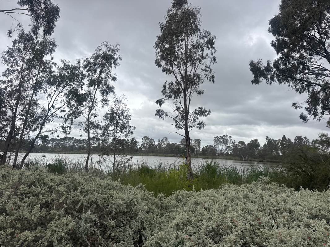 walking near me in Melton Botanic Garden in spring