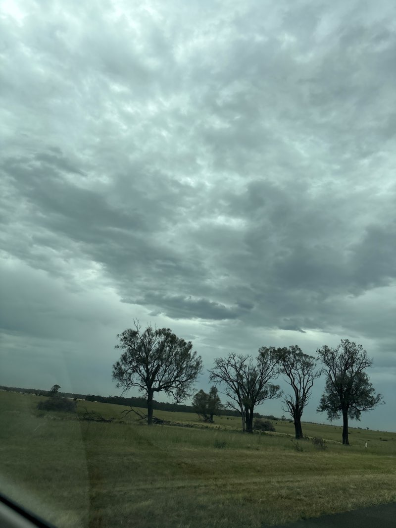 walking near me in Lozzbert Reserve in summer