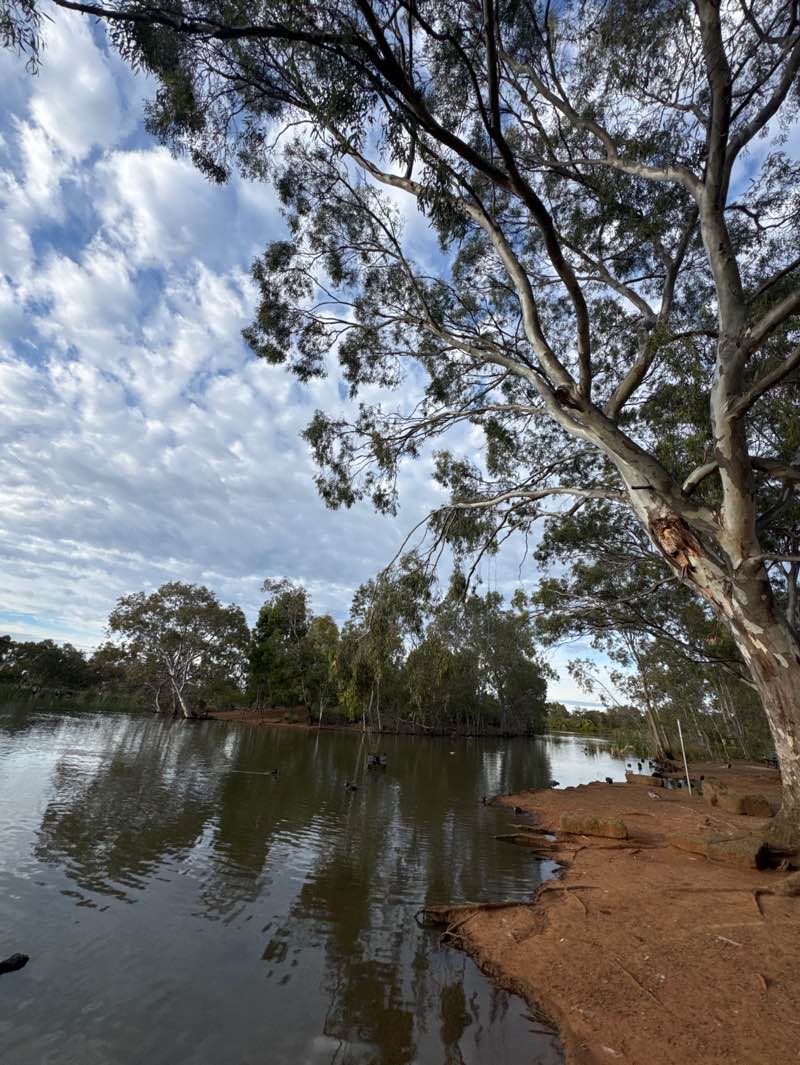 walking near me in Melton Botanic Garden in summer