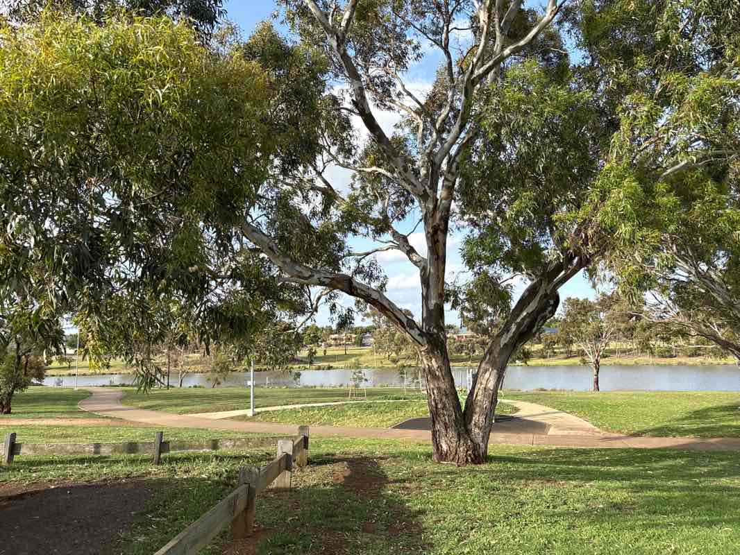 walking near me in Navan Park in summer