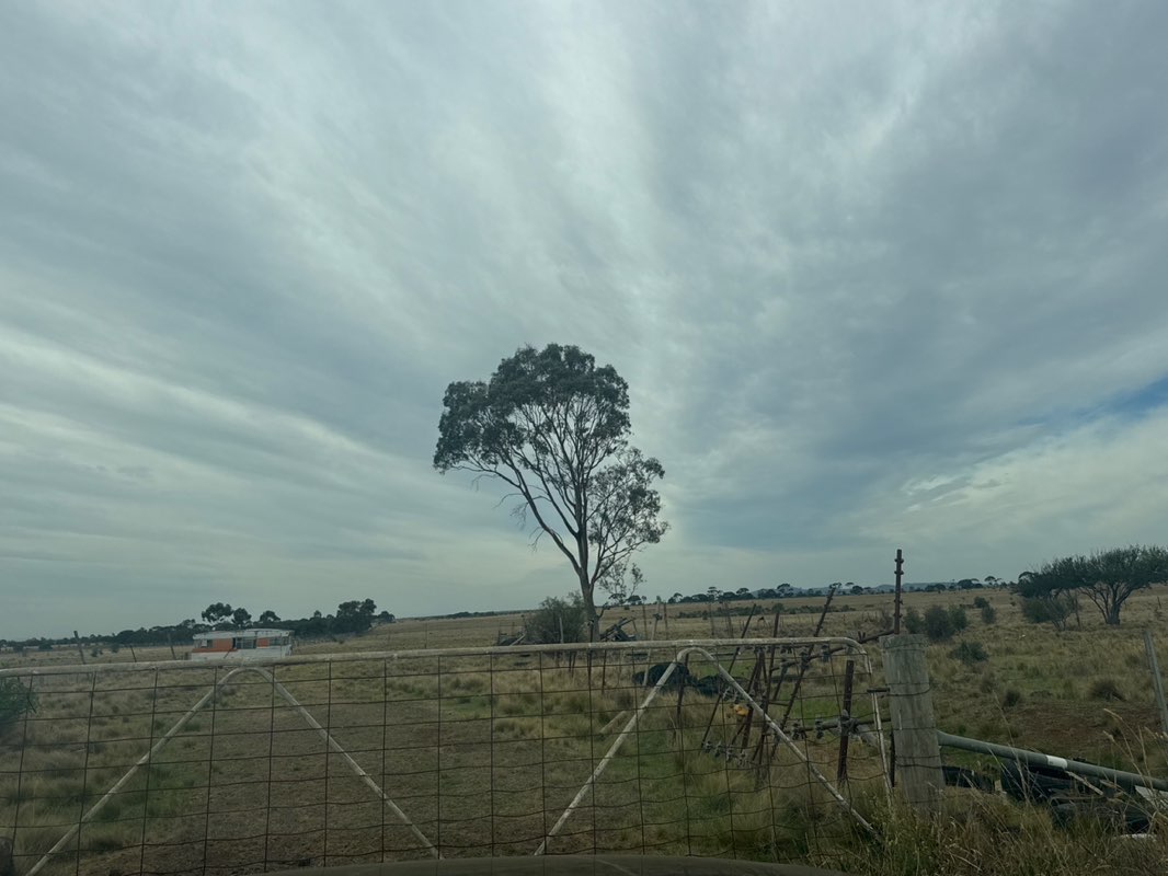 walking near me in Western Grasslands Nature Conservation Reserve in summer