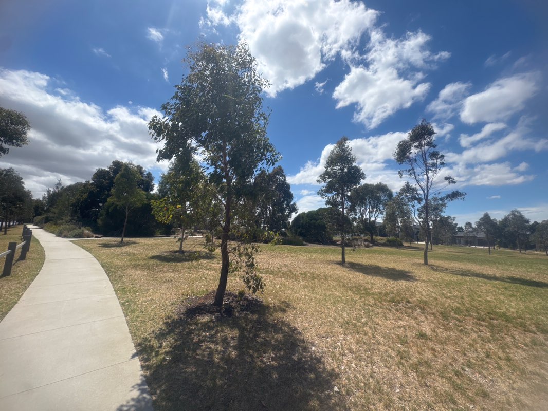 walking near me in Settlers Creek Park in summer