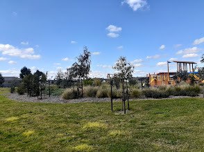 walking near me in Marloo Dr Reserve in summer