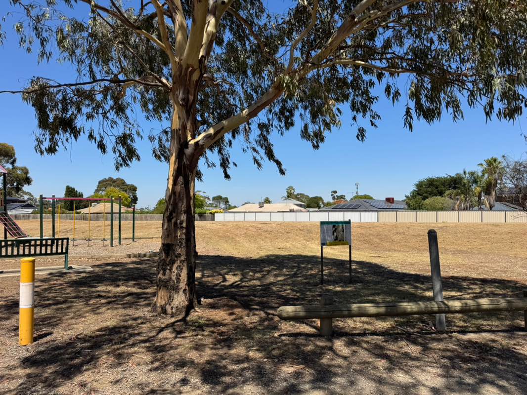 walking near me in West Melton Recreation Reserve in summer