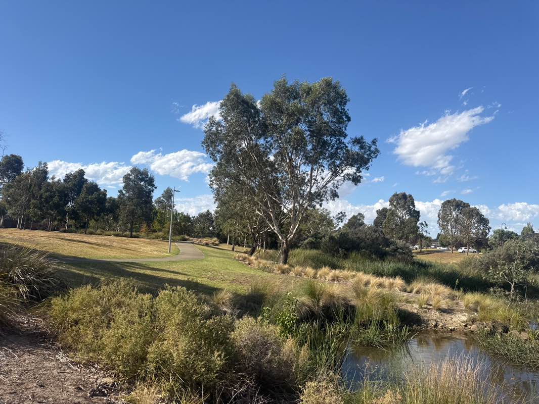 walking near me in Botanica Springs Park in summer