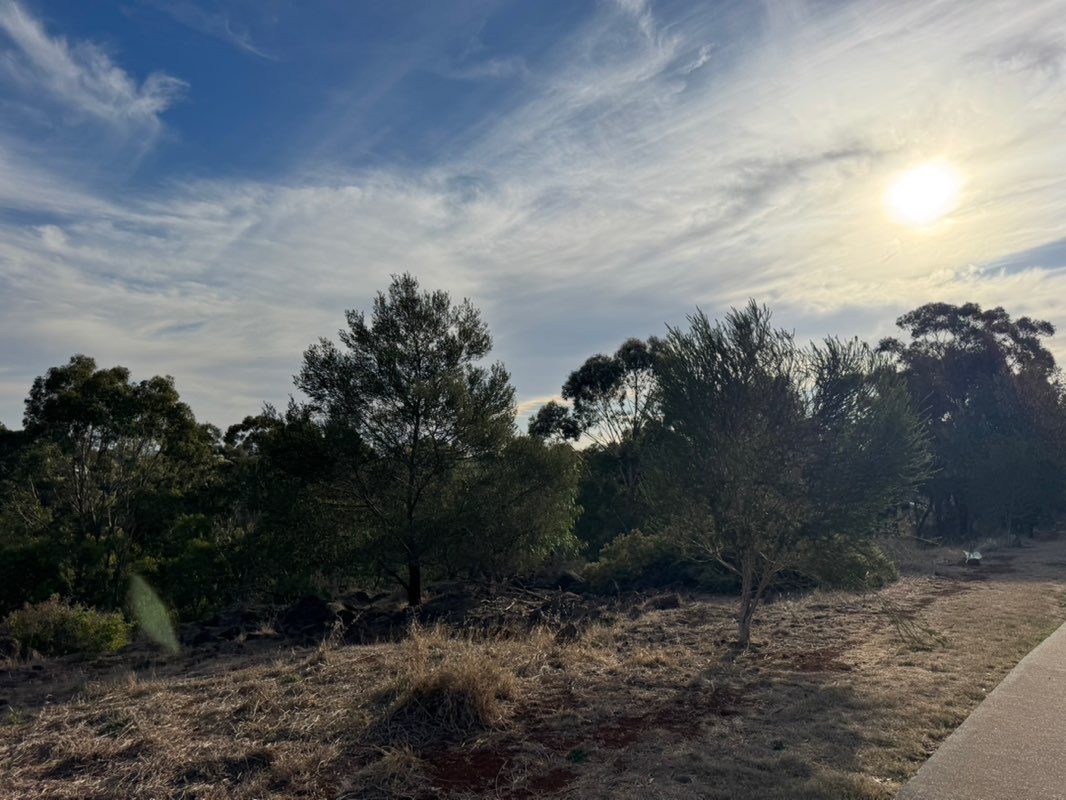 walking near me in Arnolds Creek Reserve in summer