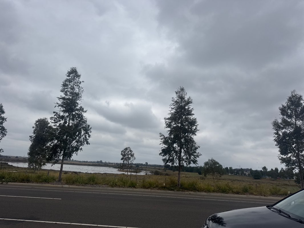 walking near me in Featherwood Park in autumn