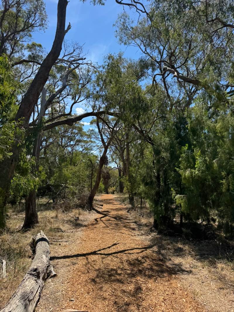 walking near me in U. L. Daly Reserve in autumn