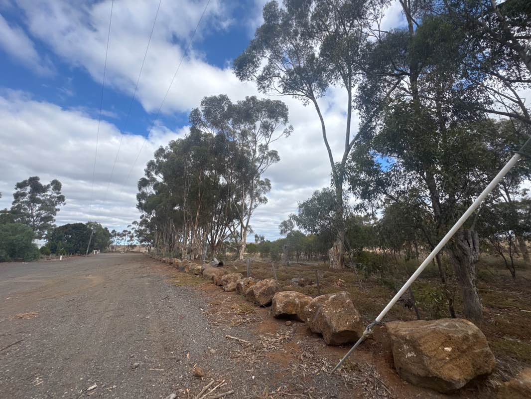 walking near me in Cobbledicks Streamside Reserve in autumn